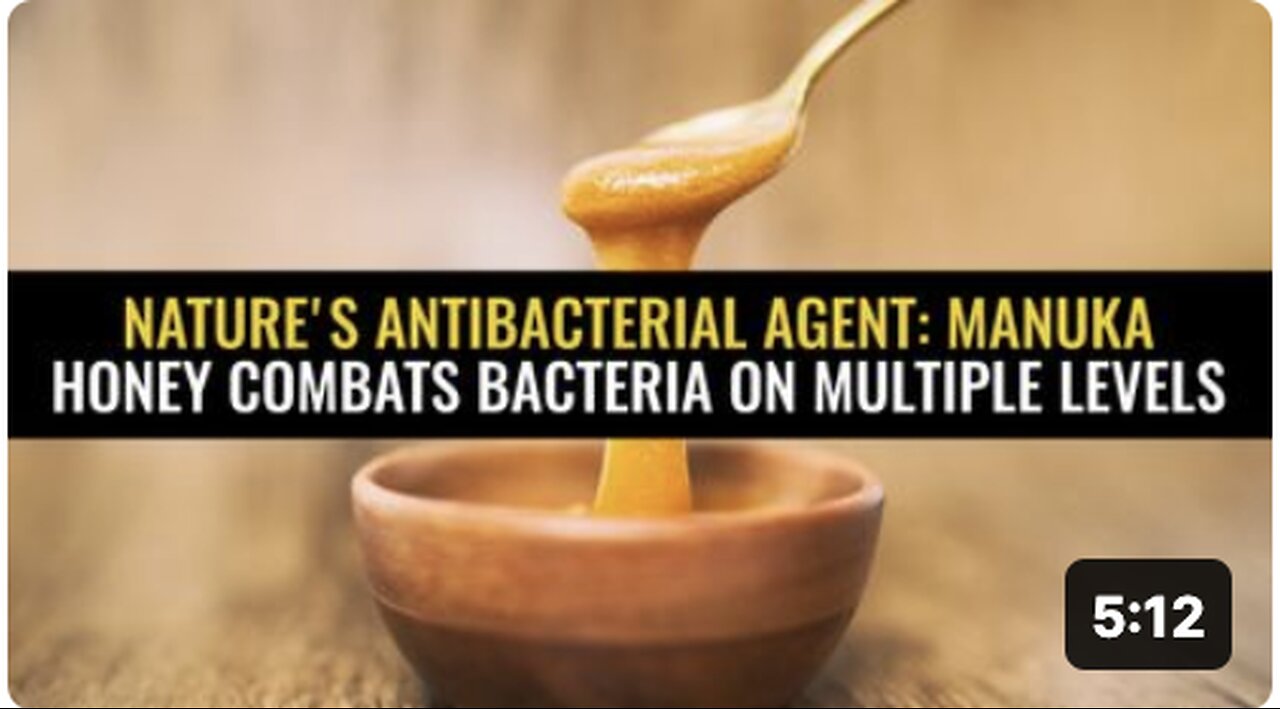 Nature's antibacterial agent: Manuka honey combats bacteria on multiple levels