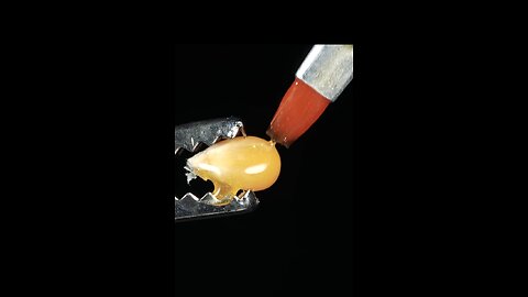 Baking of popcorn in macro and slow mode