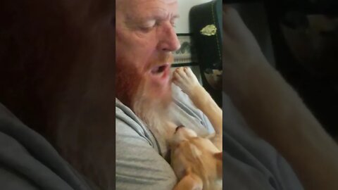 Puppy Gracie Mae Playing in Daddy's Beard