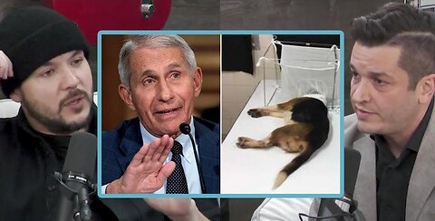 Faucis International Dog Torture Ring