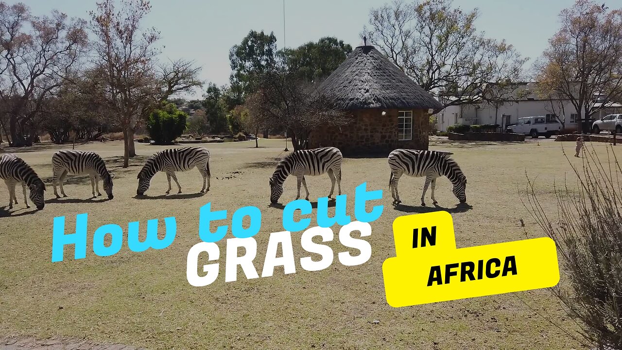 Cutting grass in Africa