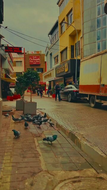 Sen şansını dene #live #lucky #happy #life #music #travel