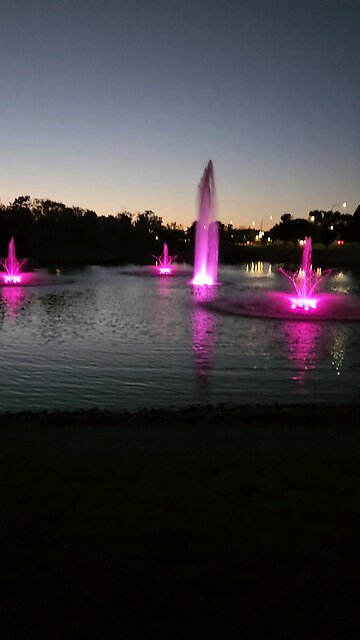 My Peaceful Place - Bonus Mind Dynamics Content