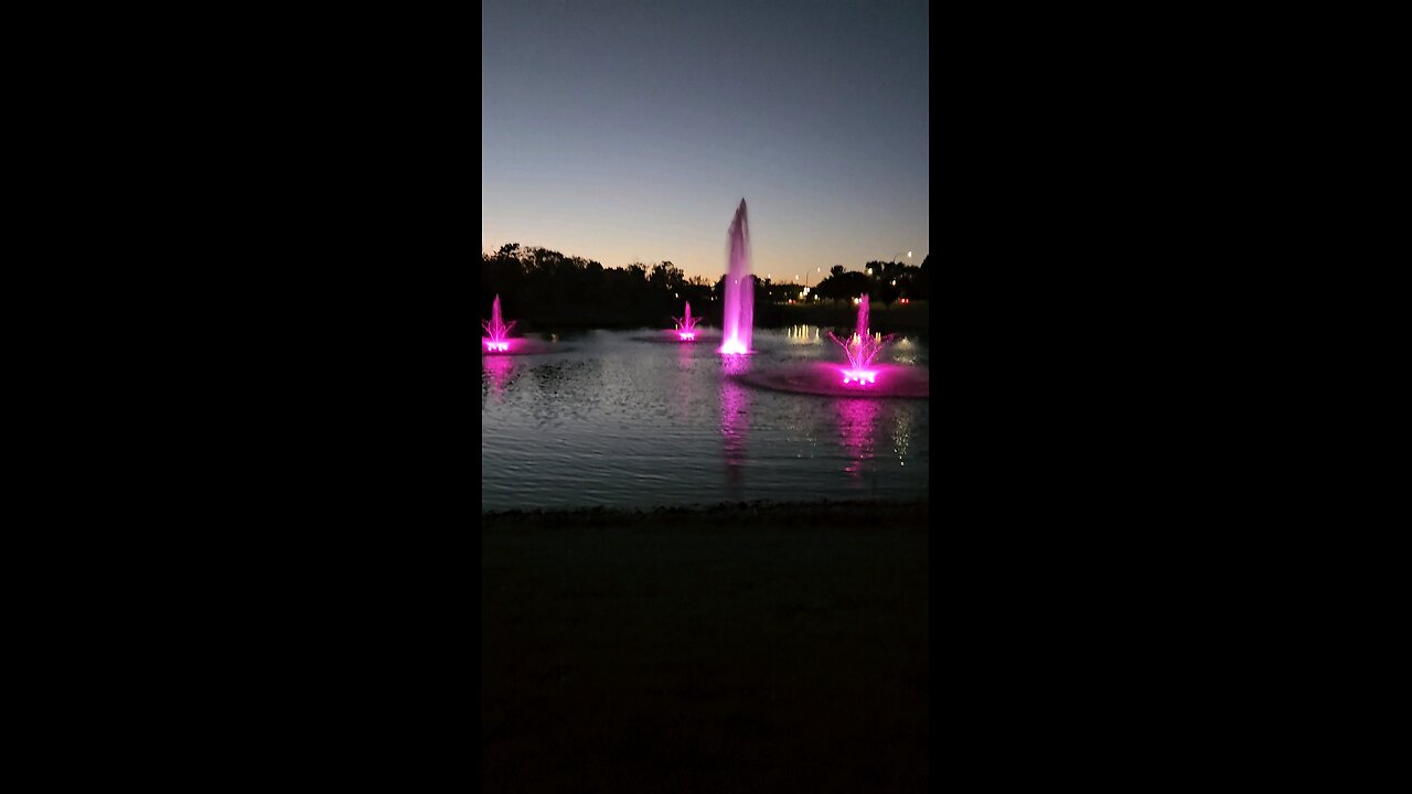 My Peaceful Place - Bonus Mind Dynamics Content