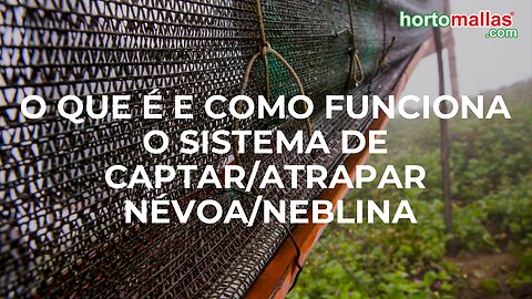 O que é e como funciona o sistema de captar/atrapar névoa/neblina