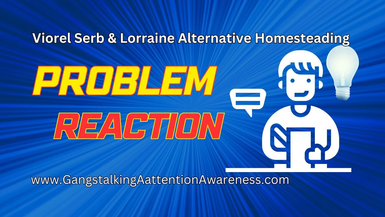 Viorel Serb & Lorraine Alternative Homesteading - Problem | Reaction (Part 2)