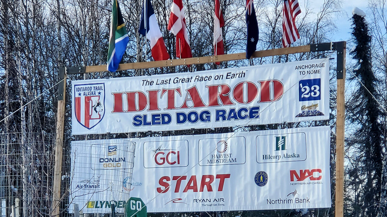 Iditarod 2023, The Last Great Race || Alaska dog mushing race