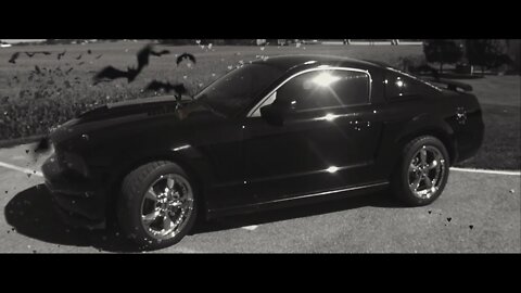 2008 Mustang ( Photo Video ) #08Stang8