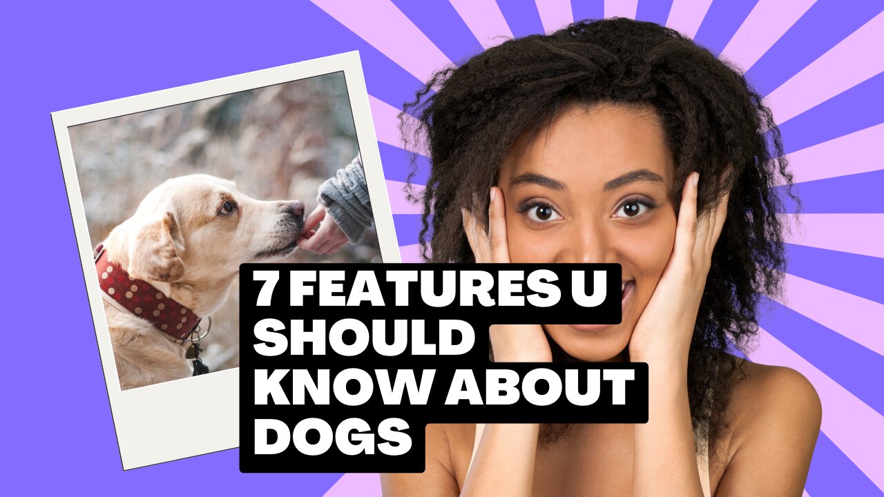 7 Facts YOU have to know about DOGS