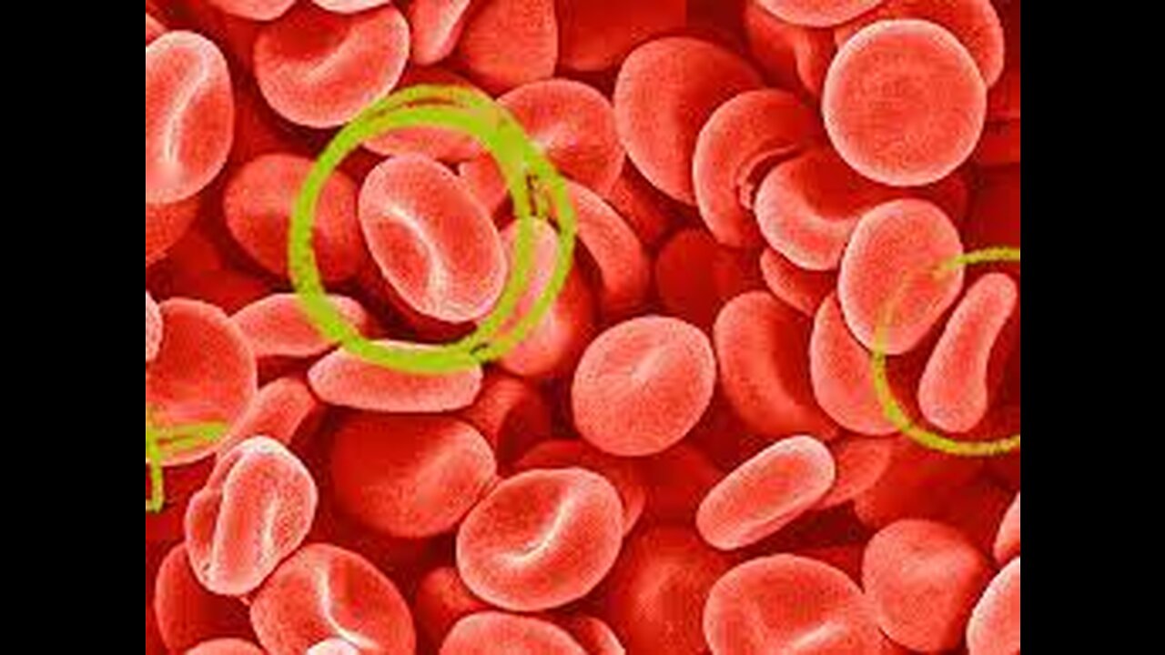 Red Blood. Cells Run On SUGARS!!!