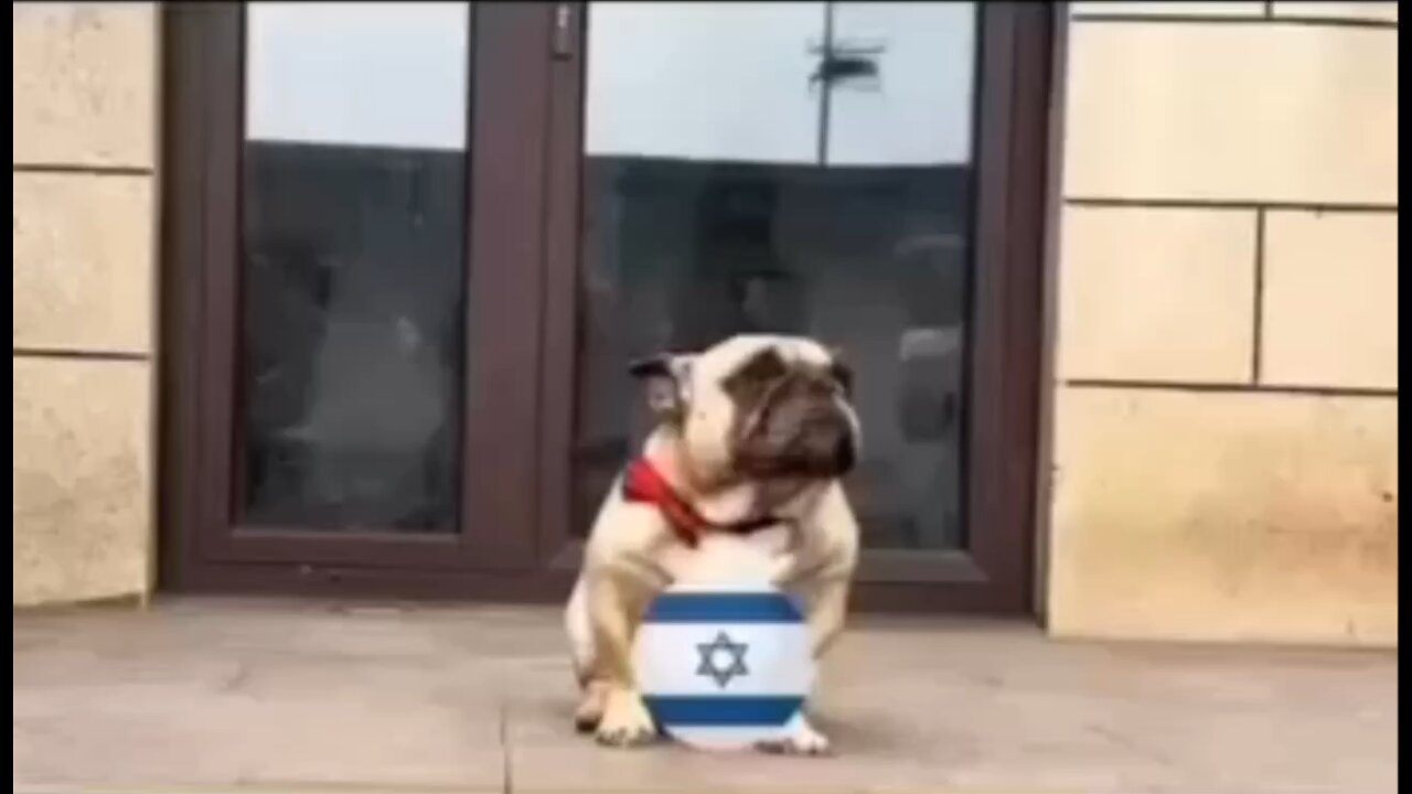 never seen before, behind the scenes footage of the complex situation between Iran and “Israel”