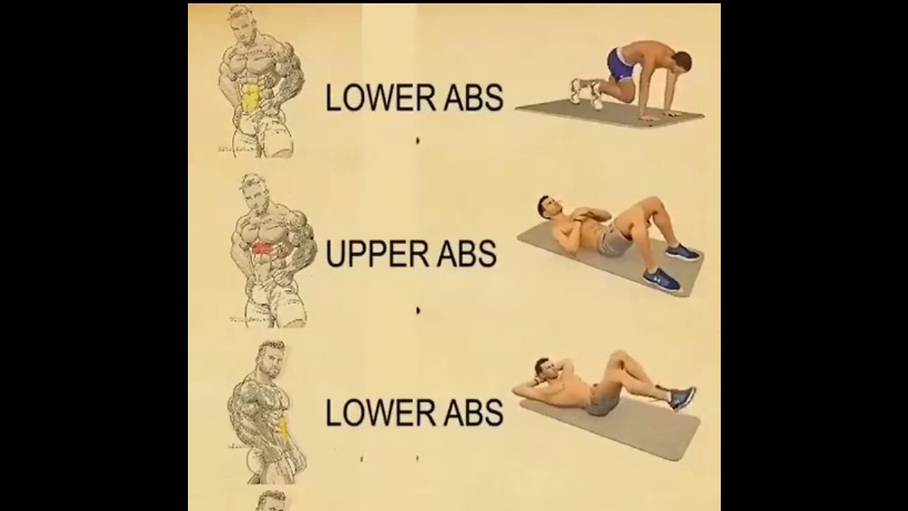 Lower body abs