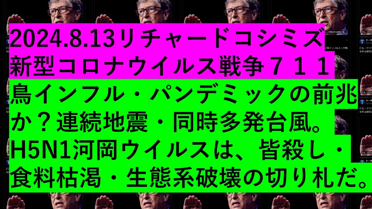 2024.8.13リチャードコシミズ 新型コロナウイルス戦争７１１