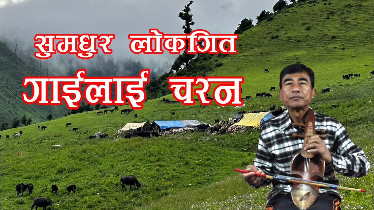 गाईलाई चरन | नेपाली लोकगित | Nepali Lok Geet Gailai Charana |