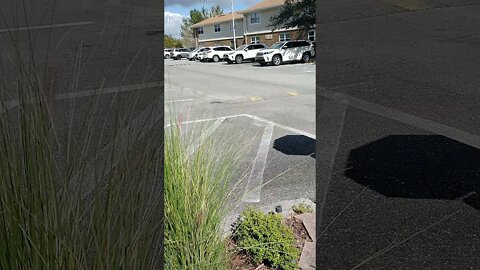 4 white Gang Stalking SUV's at apartment complex