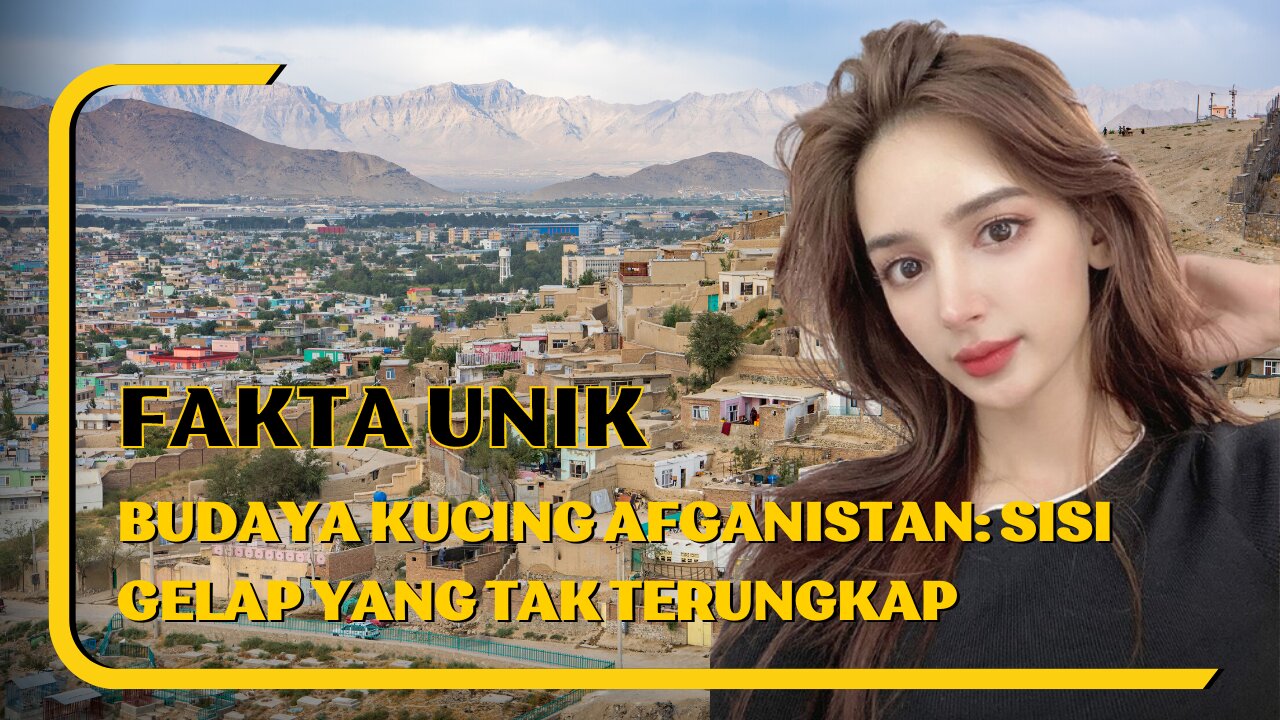 Unique Facts about Afghan Cat Culture: The Untold Dark Side