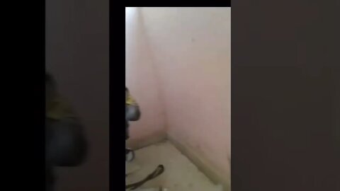 Essa passou perto da morte kkkk #shorts #guerra