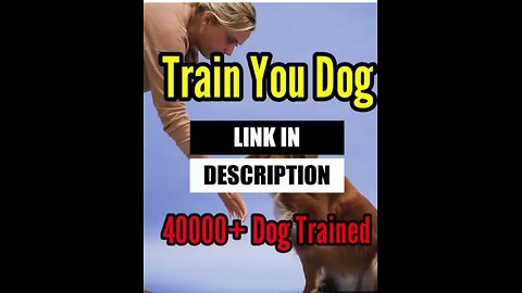 TRAIN YOU Dog LINK IN DESCRIPTION 40000+ Dog TRAINEdd