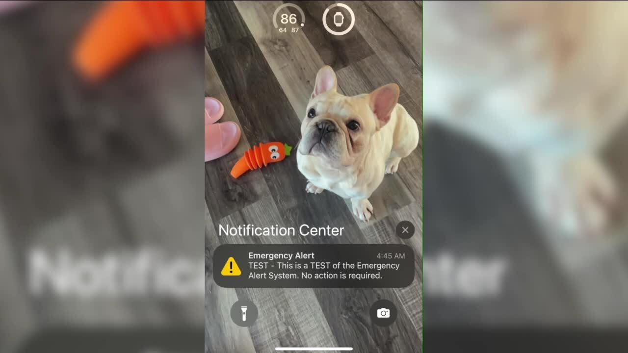 Frustrated Floridians relive the moments after an accidental alert jarred awake millions