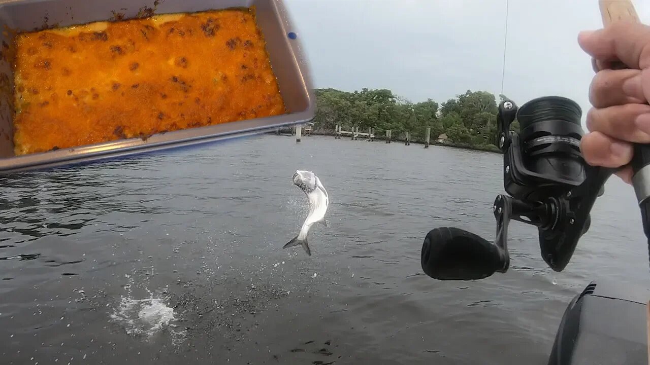 Fishing Key Largo | Catch and Cook - How to Make Fish Cheese Dip