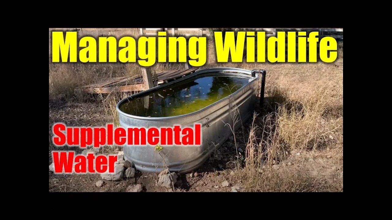 💧Using a Water Trough to Manage Your Wildlife (Guzzler, Feeder, Drink, Ranch, Supplemental Water) ✅