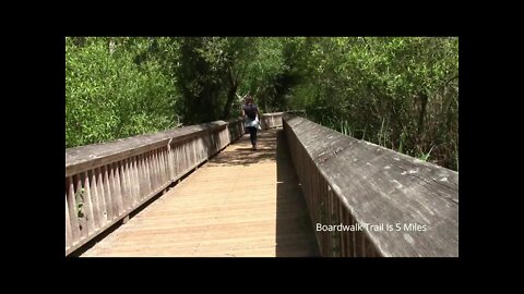 Nisqually Estuary Boardwalk Trail