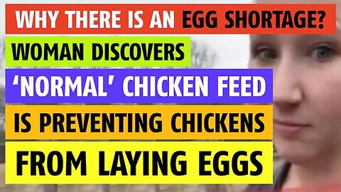 Why is there an egg shortage? Here's why