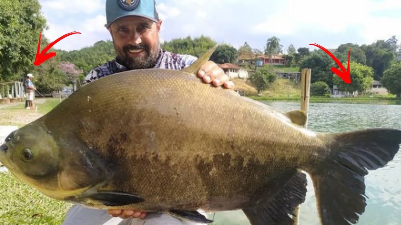 TEM QUE TER ESTÔMAGO DE FERRO PARA VER ESSE VÍDEO... Pescaria com Rafinha minhoca pesca