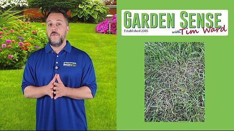 Garden Sense with Tim Ward - 10.16.24