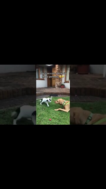 There is kindness in you! My mom said I can make friend with you