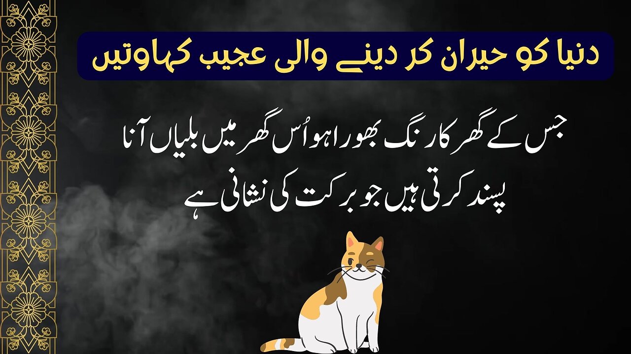 Ajeeb Kahawatein | Urdu Informative Video | Quotes