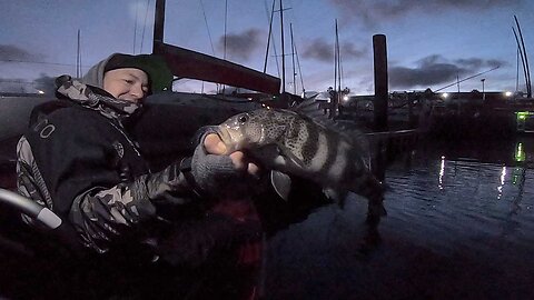 Swimjig Night Mission | Spotted Bay Bass | WARBAITS