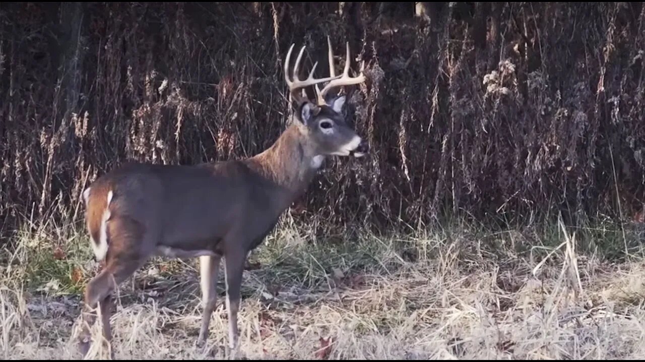 Sluggin' it Out | Deer & Deer Hunting TV