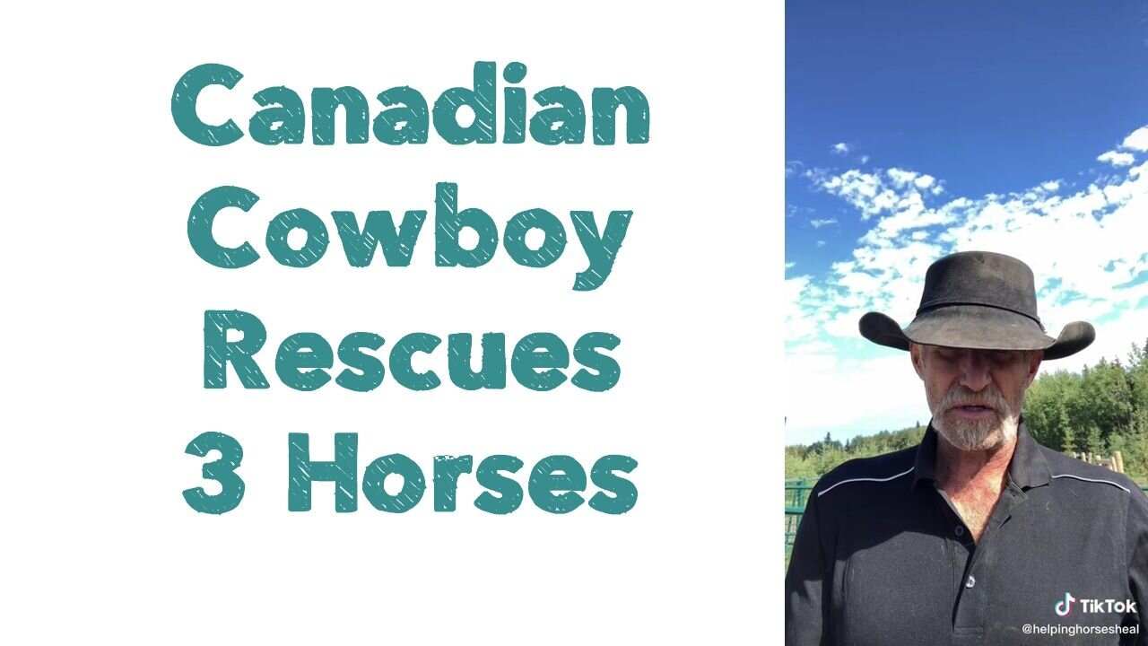 Canadian Cowboy Rescues 3 Horses