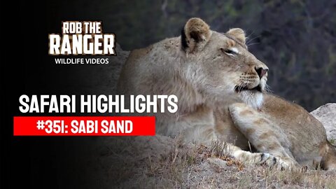 Safari Highlights #351: 11 - 14 July 2015 | Sabi Sand Nature Reserve | Latest Wildlife Sightings