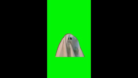 Mona Jump Scare | Green Screen