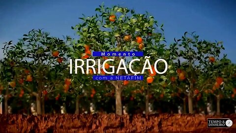 Momento irrigação - Netafim