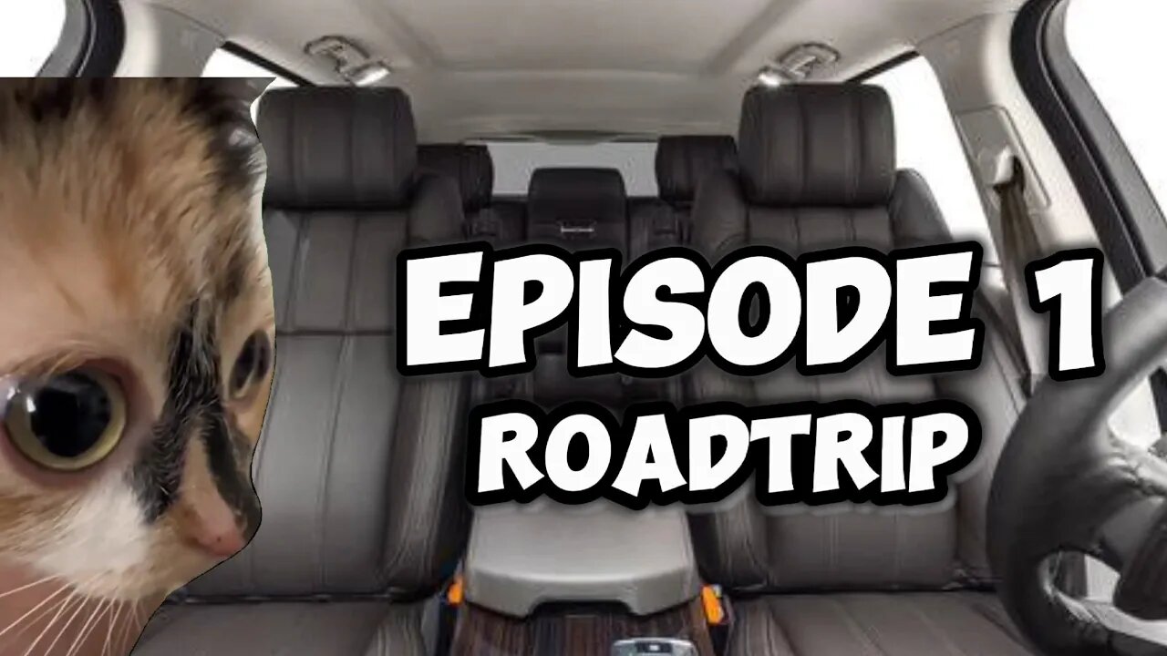 CAT MEMES FAMILY ROADTRIP COMPILATION