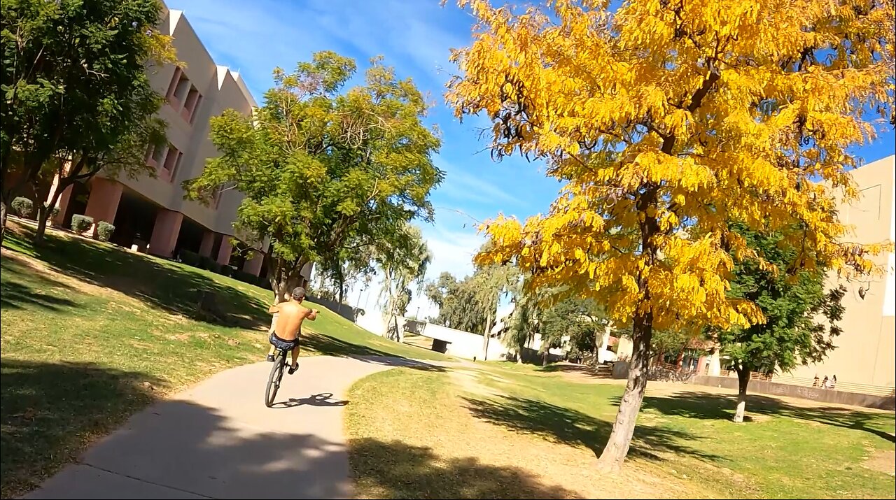 Family MTB - Fall season sunshine