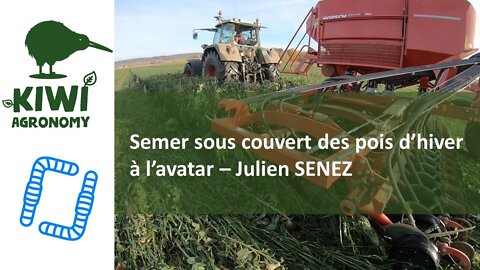 Semer sous couvert des pois d’hiver à l’avatar – Julien SENEZ