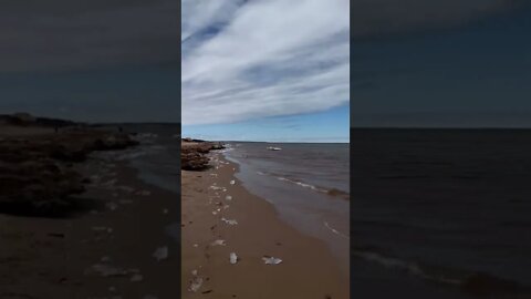 Canadian beach in March