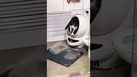 Cleaning Assistant