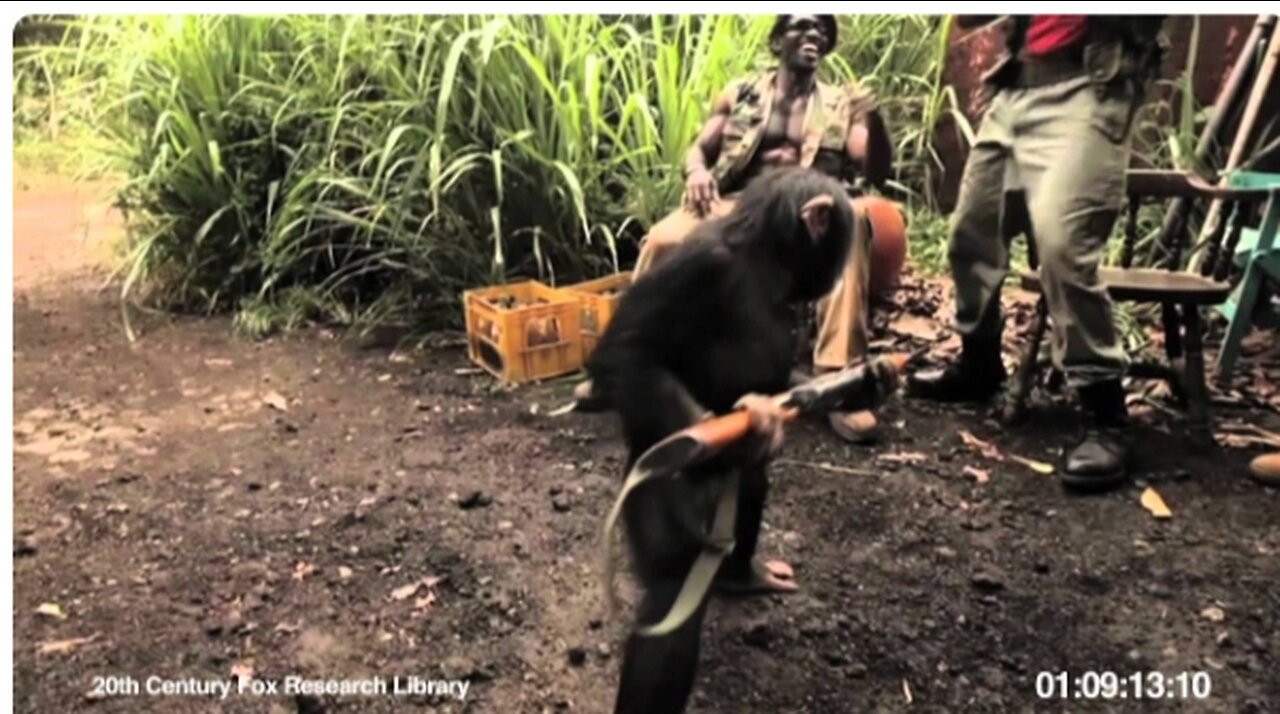 RISE OF THE PLANET OF THE APES | Viral Video: Ape With AK-47