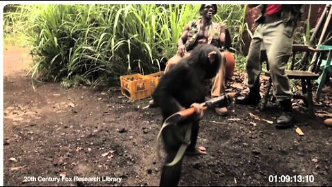 RISE OF THE PLANET OF THE APES | Viral Video: Ape With AK-47