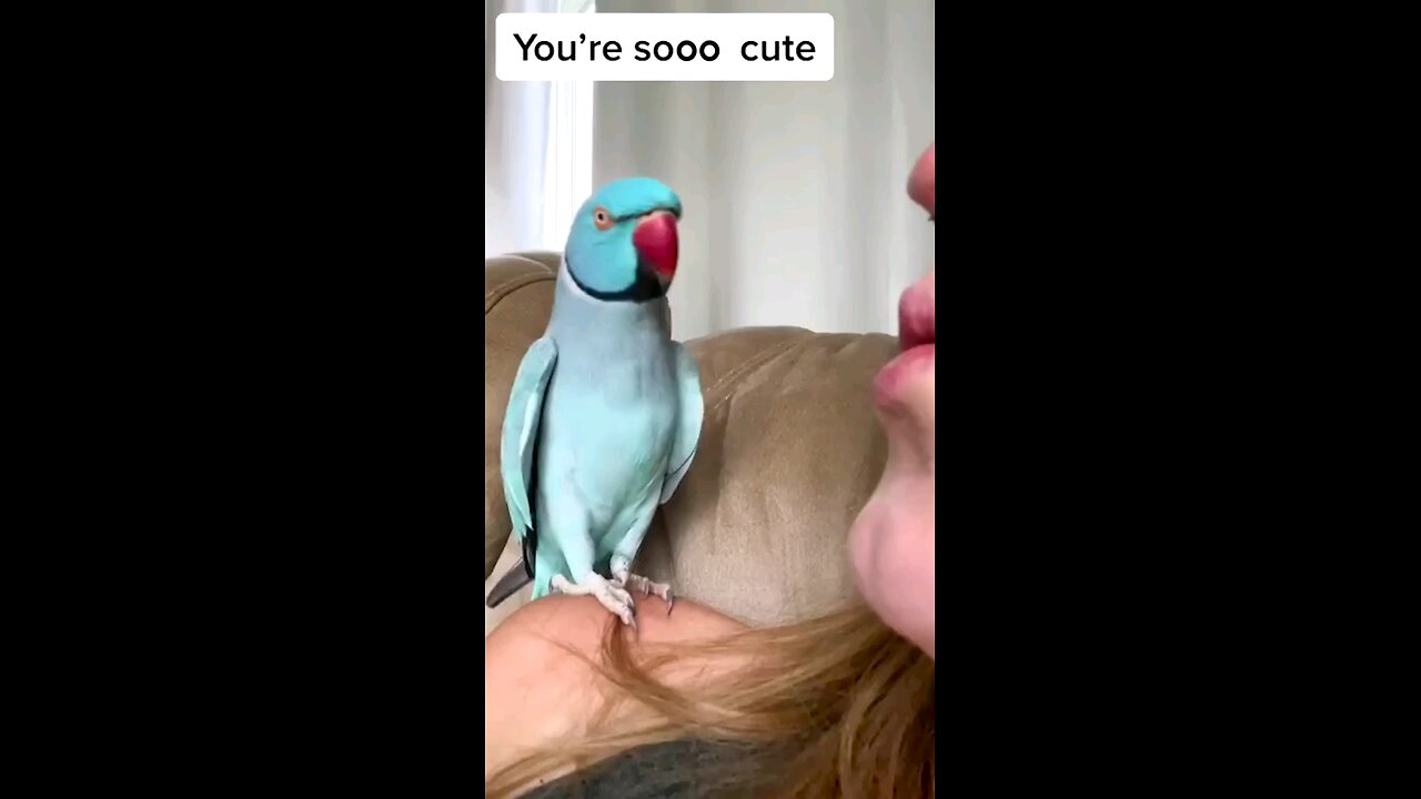 🐦