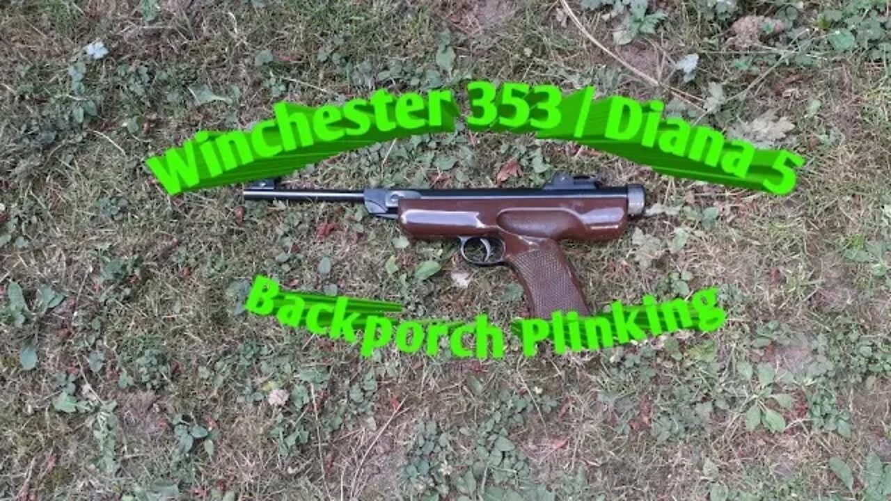 Winchester 353/Diana 5 *backporch plinking