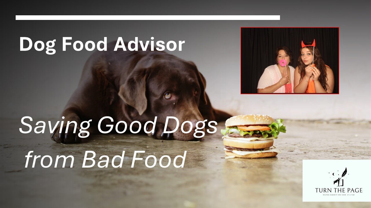 High Noon - Talking About the lies for Dog Food
