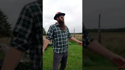 #fall