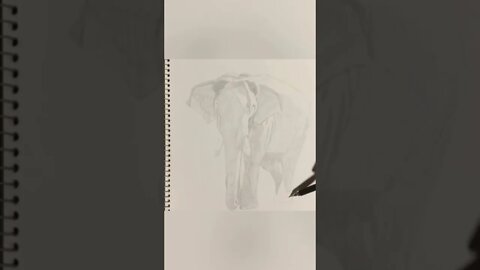 Elephant Drawing #shorts #short #art #elephant