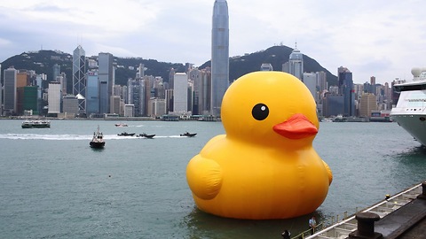 Giant Rubber Duck